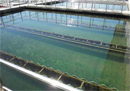 低濁度廢水混凝沉淀技術